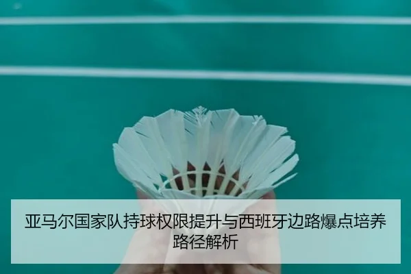 ya-ma-er-guo-jia-dui-chi-qiu-quan-xian-ti-sheng-yu-xi-ban-ya-bian-lu-bao-dian-pei-yang-lu-jing-jie-xi-2-277.jpg